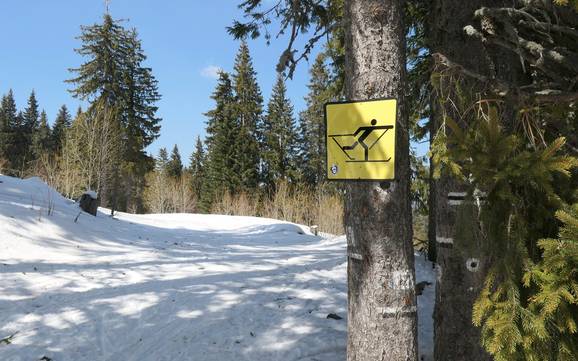 Langlauf Rhodopen – Langlauf Pamporovo
