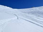 Freeridehänge Brytnest-Grieschumma