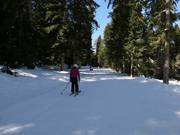 Verbindungspiste zur Gondelbahn Yastrebets