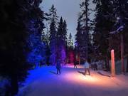 Nachtskifahren Hundfjället