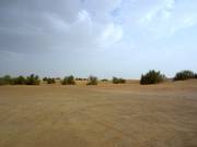 Die Weite der Wüste