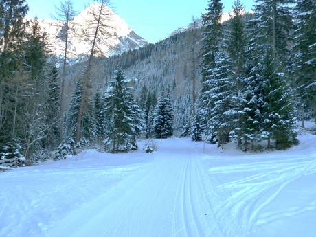 Langlauf Zwischentoren – Langlauf Biberwier – Marienberg