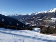 Waldschneisenabfahrten zwischen Ponte di Legno und ​Temù 