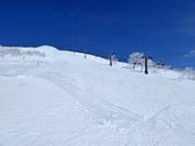 Schwere Piste Champion (Annupuri)