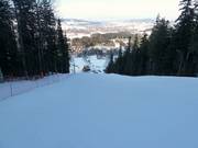 Mittelschwere Waldabfahrt