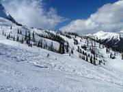 Blick über die Lizard Bowl
