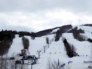Breite Waldschneisenabfahrten mit Snowpark
