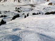 Buckelpiste Ochsaköpf