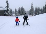 Übungsbereich am Förderband Porcupine