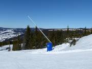 Schneilanze in Hafjell