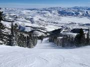 Steile Piste Stein's Way