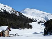 Höhenloipe "La Muntagnarda"