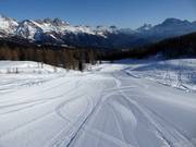 Piste Campo Scuola Le Buse