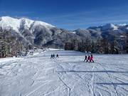 Leichte Mosenabfahrt