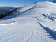 Weinberg-Abfahrt Nr. 2