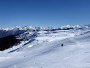 Blick über die Kalcheralm