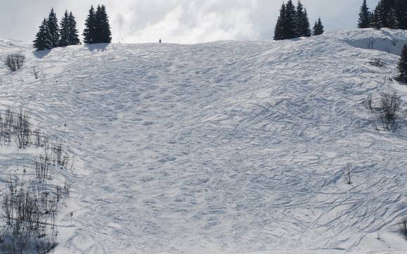 Skigebiete für Könner und Freeriding Val d'Arly – Könner, Freerider Espace Diamant – Les Saisies/Notre-Dame-de-Bellecombe/Praz sur Arly/Flumet/Crest-Voland