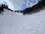 Buckelpiste Premium Zone