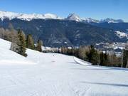 Breite Pisten dominieren in der Ski Area Val Comelico