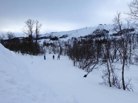 Langlauf Härjedalen – Langlauf Tänndalen