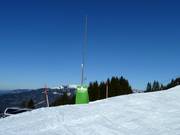 Schneilanze in Mellau