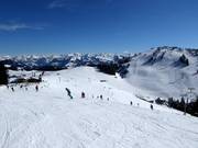Leichte Pisten an der 8er Sesselbahn Osthang am Brandstadl in Scheffau