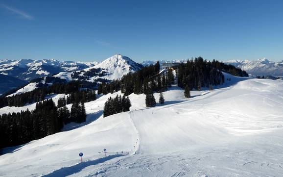 Ferienregion Hohe Salve: Größe der Skigebiete – Größe SkiWelt Wilder Kaiser-Brixental