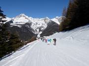 Verbindungspiste vom Almboden zur Bergstation K-Express