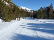 Talabfahrt nach Tschierv