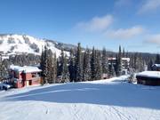 Von Silver Queen zum Village