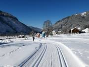 Loipen in Ramsau am Dachstein