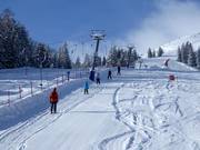 DinoJet - Tellerlift