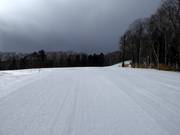 Piste Central Street