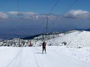 Markudjik 1 A - Tellerlift