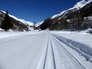 Loipe im Lötschental