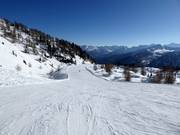 Mittelschwere Piste Doss dei Cembri