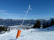 Schneilanzen an der Piste 4 