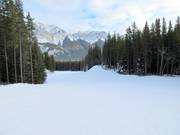 Leichte Abfahrt Chinook