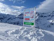 Freeride Info Point