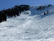 Buckelpiste an der Hohen Salve