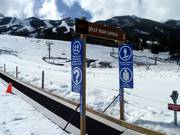 Das Jelly Bean Förderband ist beliebt bei den Kleinen