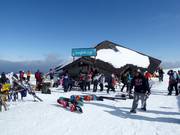 The Snowflake/Parklane Café