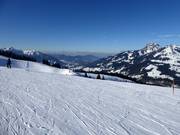 Leichte Damenabfahrt mit Wendelsteinblick