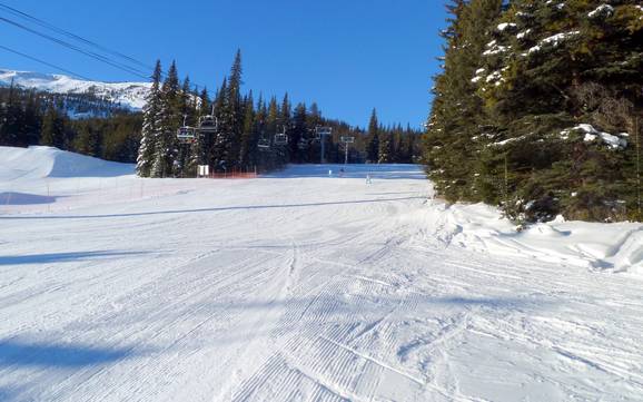 Pistenangebot Jasper-Nationalpark – Pistenangebot Marmot Basin – Jasper