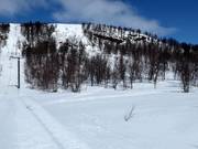 Blick zum steilen Tiefschneehang am Anjaliften