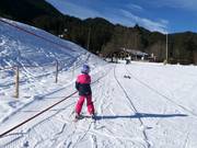 Seillift Kuli 2 (E) - Seillift/Babylift mit niederer Seilführung