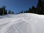 Piste Martinovi baraki 1