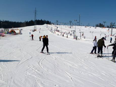 Skigebiete für Anfänger in Polen – Anfänger Białka Tatrzańska – Kotelnica/Kaniówka/Bania