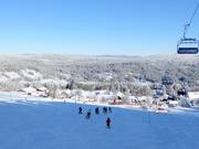 Blick auf Mitterfirmiansreut