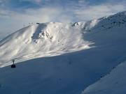 Unendliche Tiefschneehänge